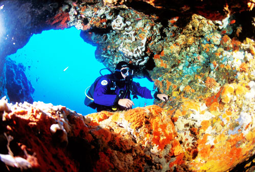 Ventotene - subacquea, grotta