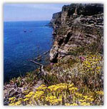 Ventotene - escursioni, Moggio di terra Ventotene - escursioni, Moggio di terra