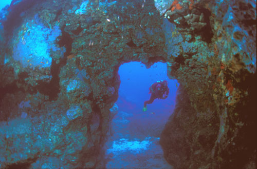 Ventotene - subacquea