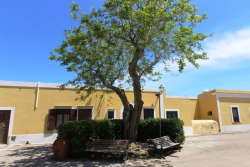 Ventotene - last minute